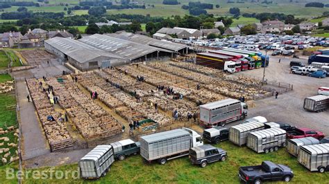 The mart serves a large area of the Yorkshire Dales and surrounding moorland, drawing store sheep, breeding sheep and cattle. . Hawes auction mart live stream
